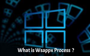 Windows 10 Wsappx Process
