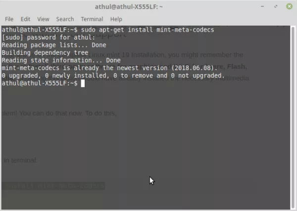 Linux Mint 19 Install Multimedia codecs