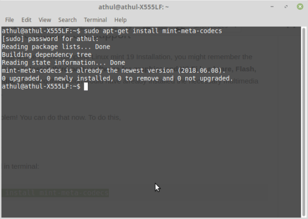 Linux Mint 19 Install Multimedia codecs
