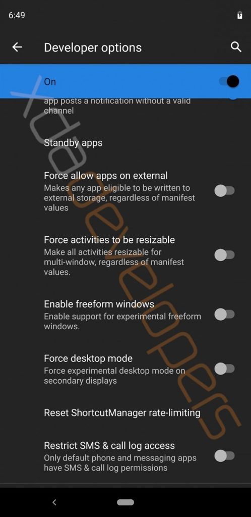 Android Q Developer Options