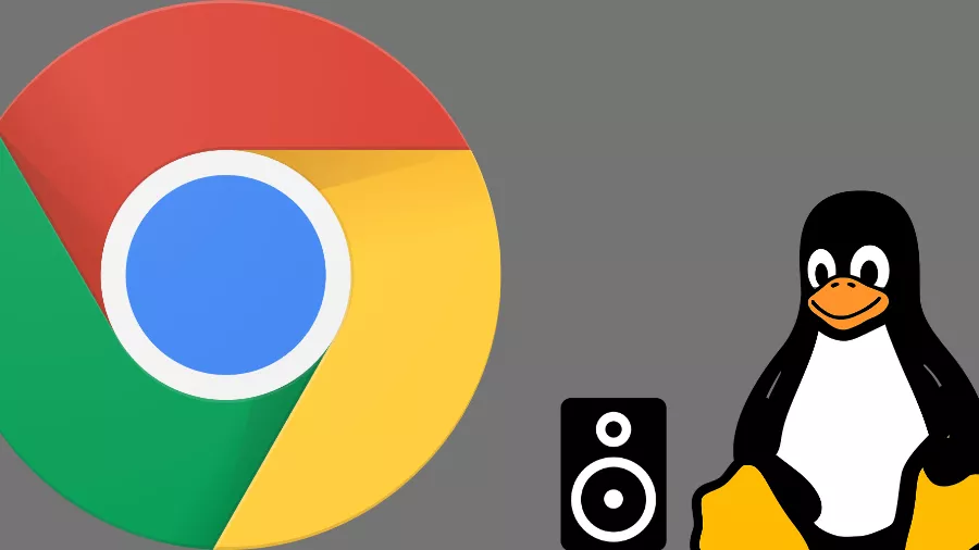 Chrome OS Linux Audio Output
