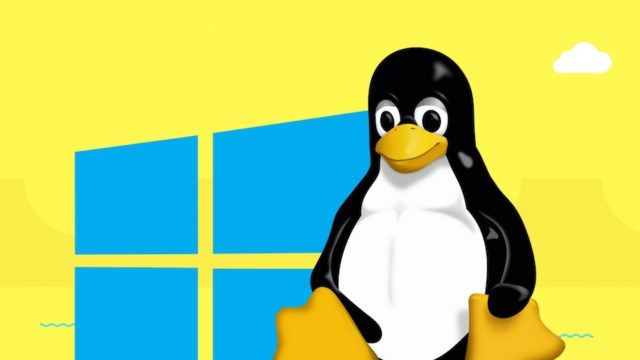 linux en windows