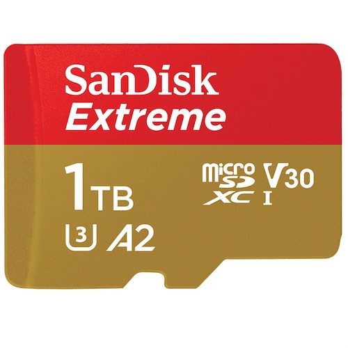 sandisk 1TB card