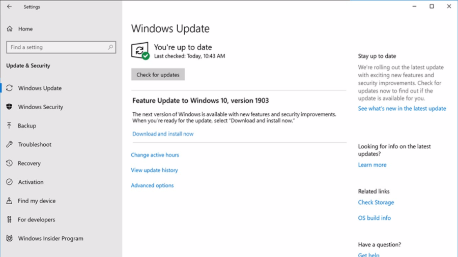 windows 11 update 1903 won