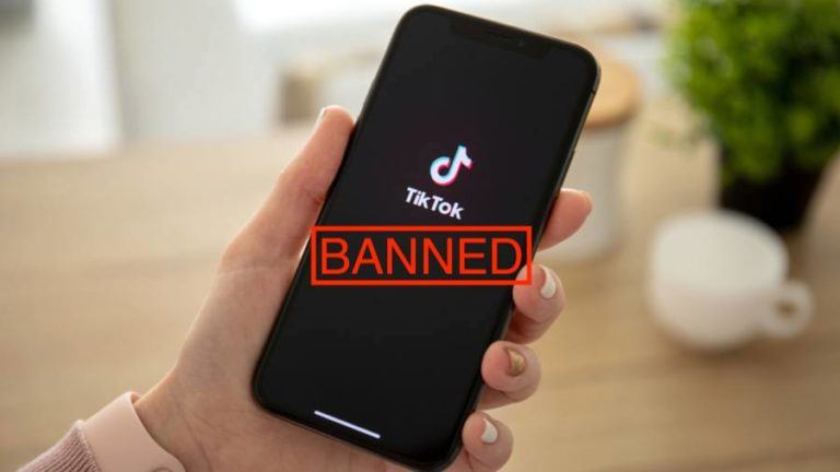 tiktok app banned