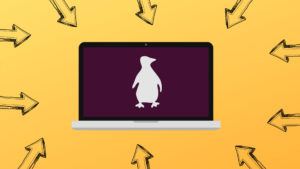 linux flaw