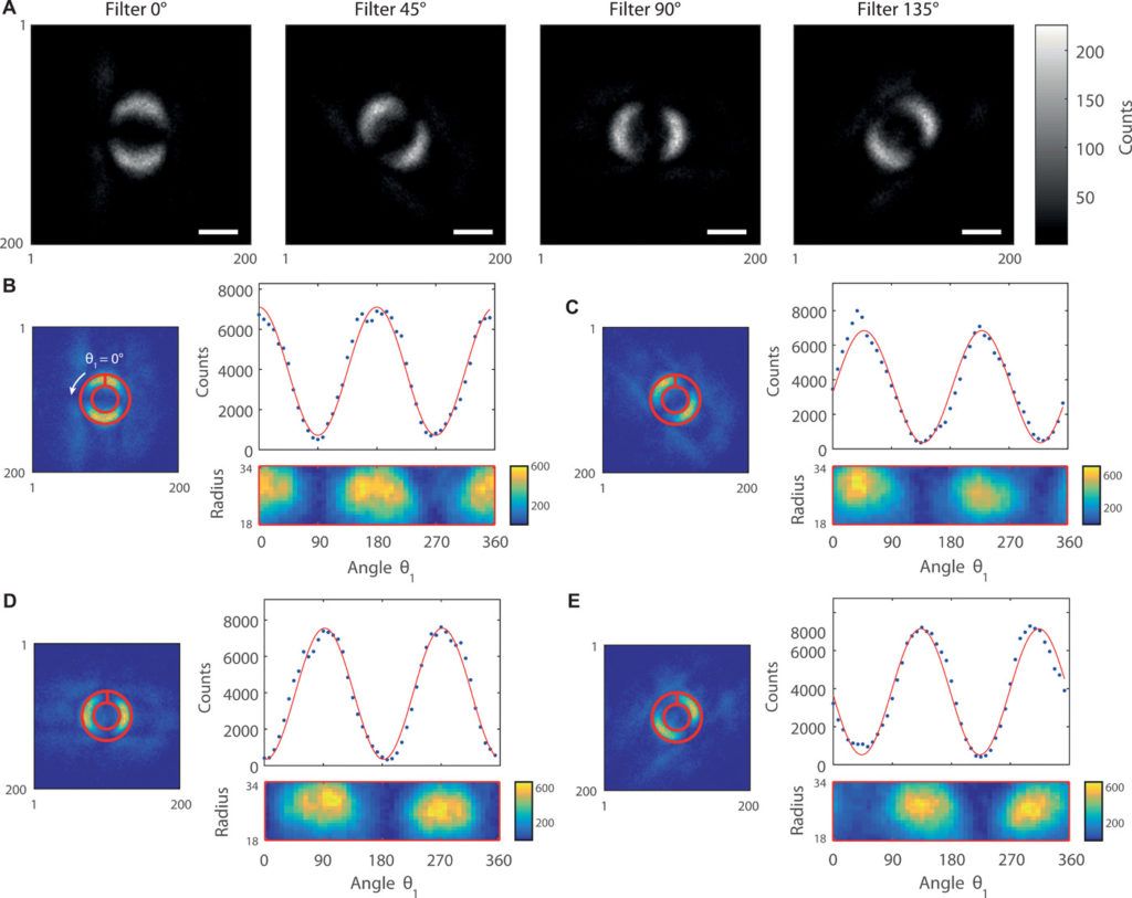 Quantum entanglement images