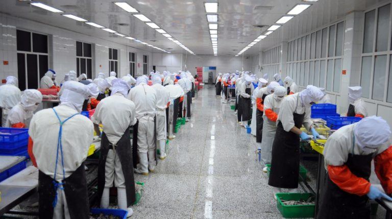 Foxconn Factory China iIlegal child labor