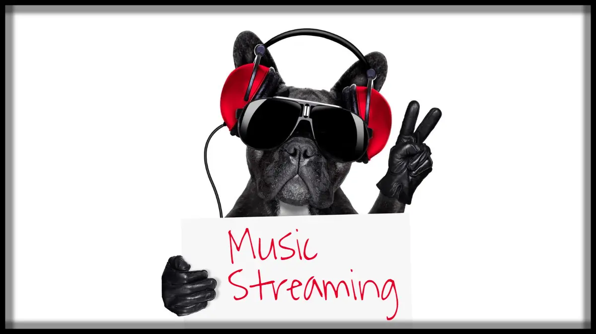 Best Music Streaming Apps Android iOS Main