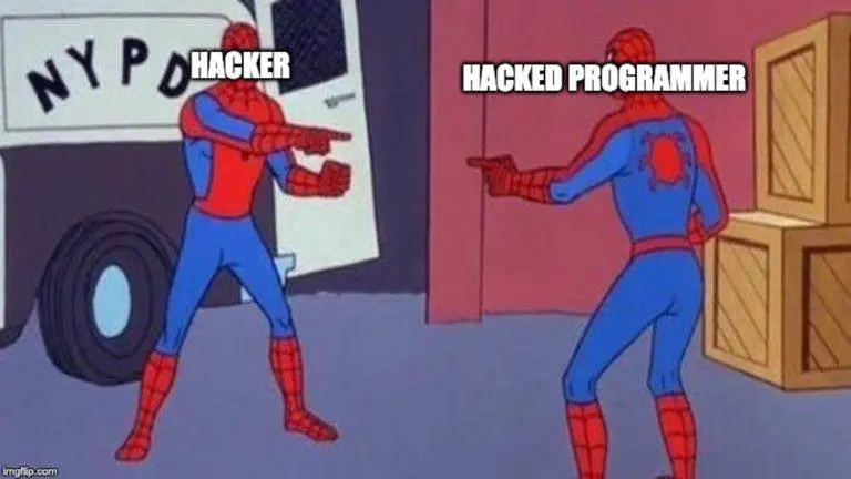 Hacked programmer hacks hacker