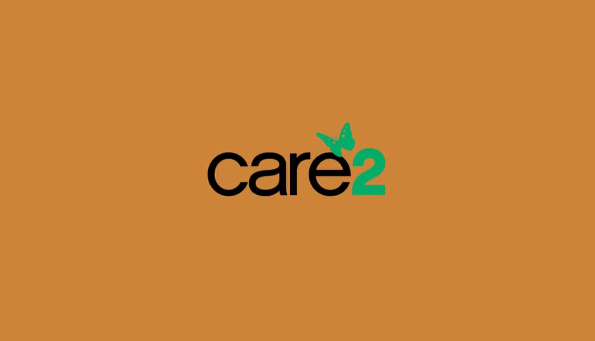 Best Twitter Alternative Care2