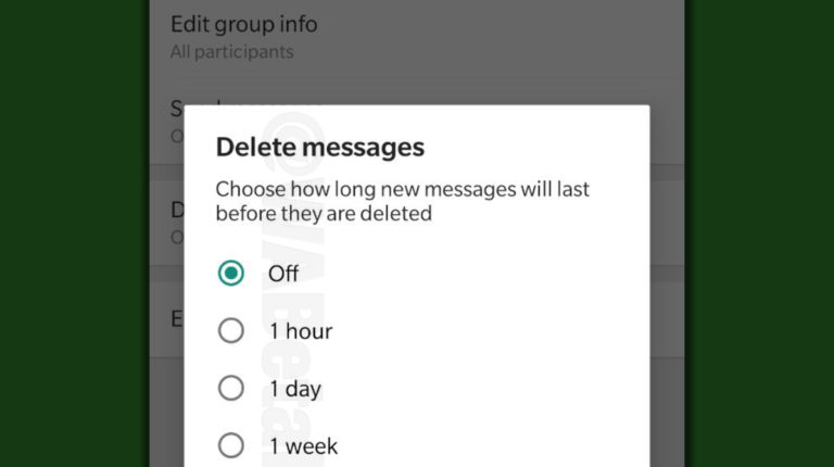 Self-Destructing Messages whatsapp