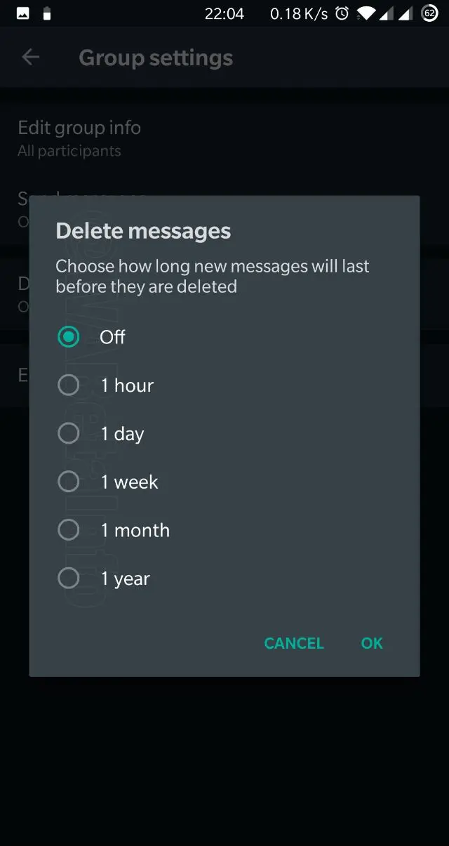 WhatsApp Self Destructing Messages