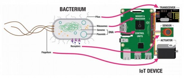 bacteria IoT