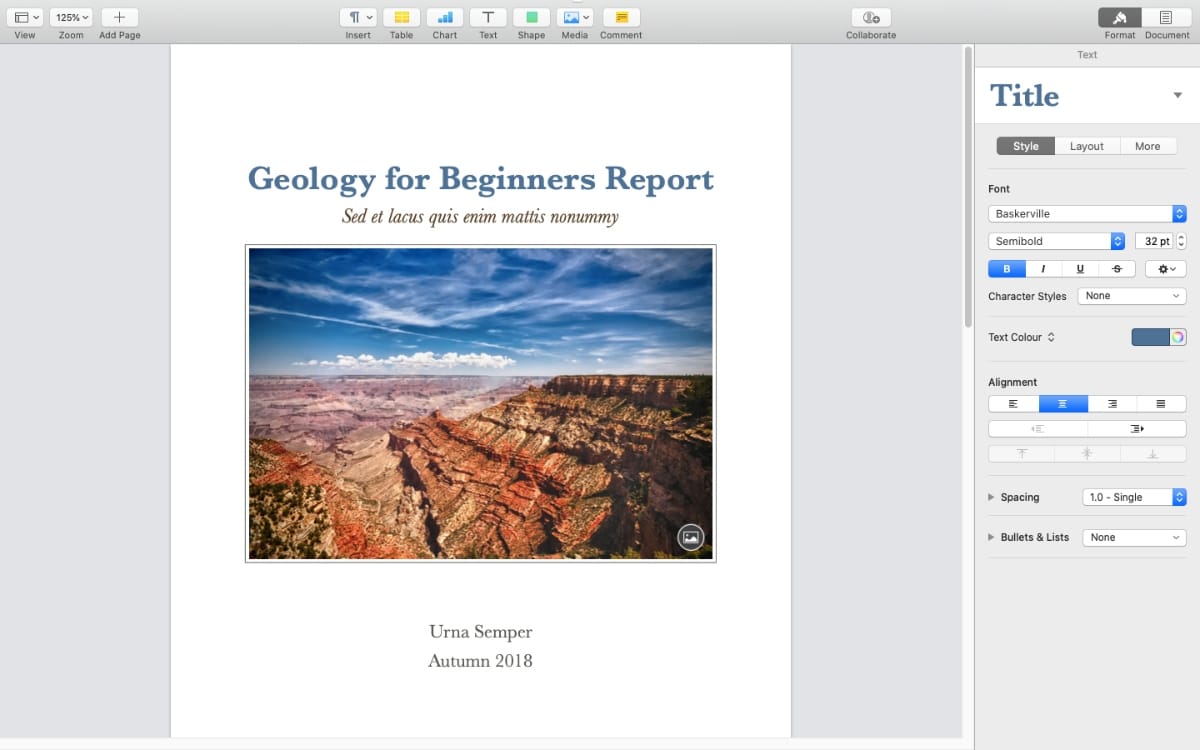 apple word processing software ipad