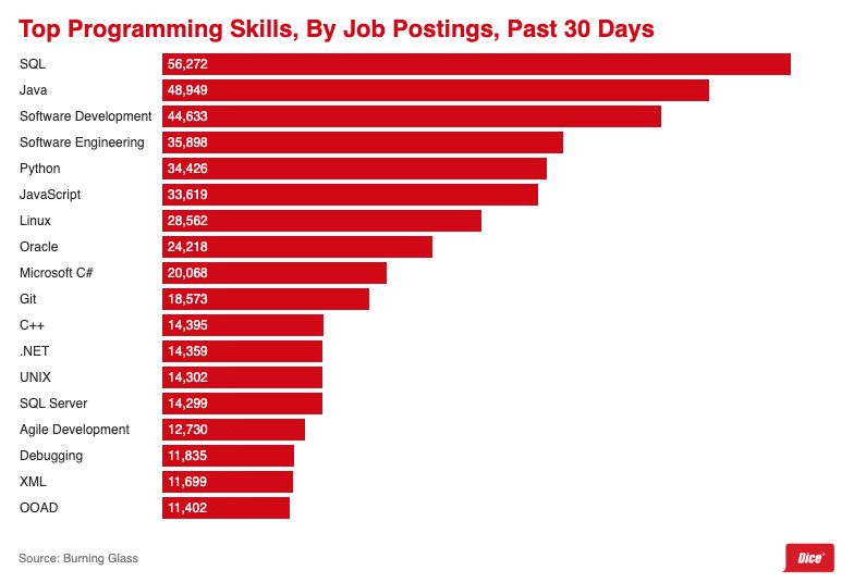 top programming skills