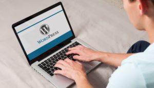 wordpress bugs