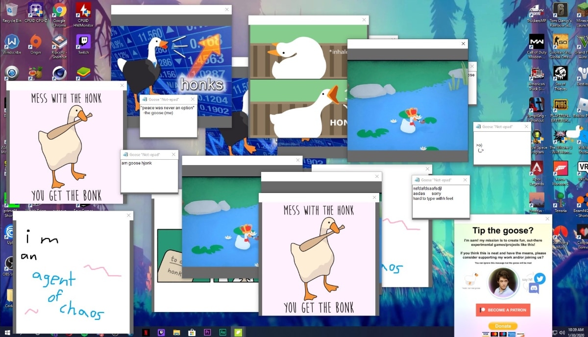 Goose desktop. Desktop Goose. Гусь desktop это. Goose программа. Desktop Goose программа.