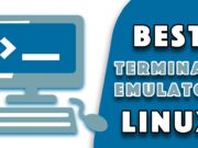 best terminal emulator for linux 2020