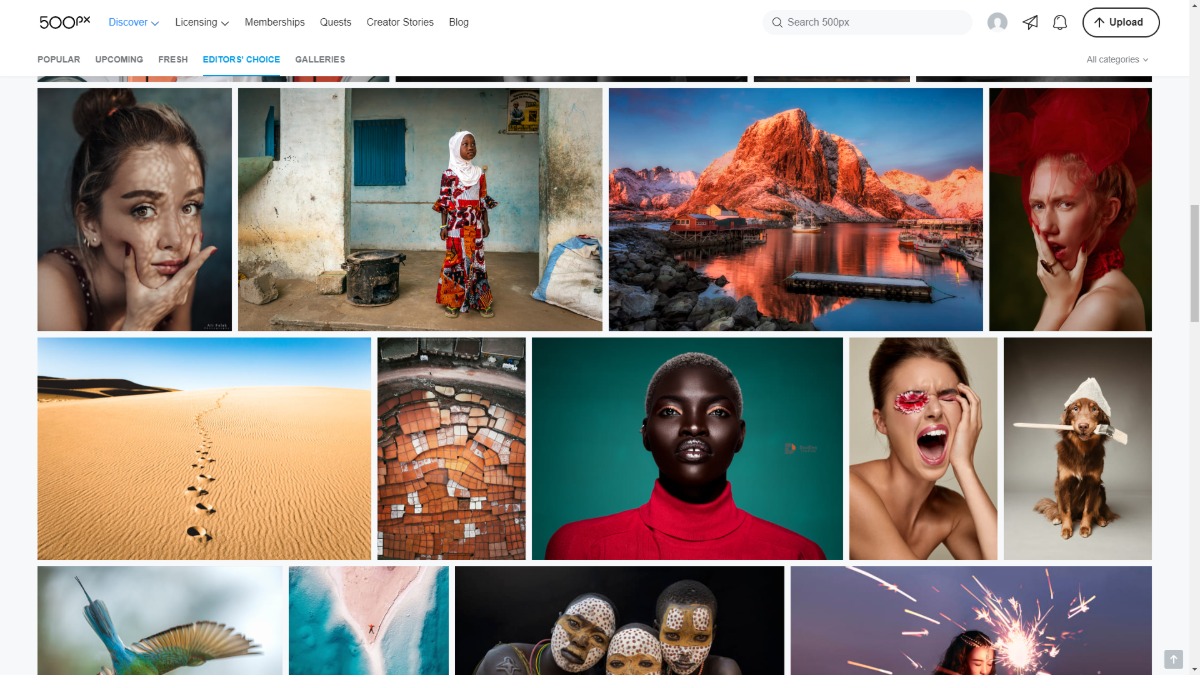 Free IMage Hostng For Photographers 500px