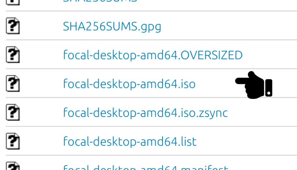Download the Ubuntu 20.04 Focal Fossa ISO file