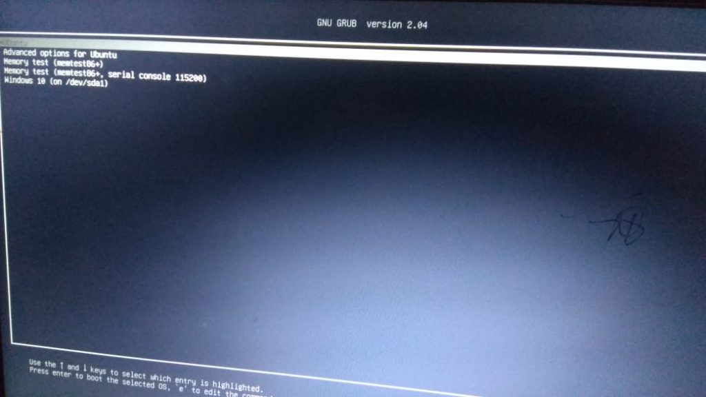 Dual Boot Ubuntu 20.04 And Windows 10 Options In Grub