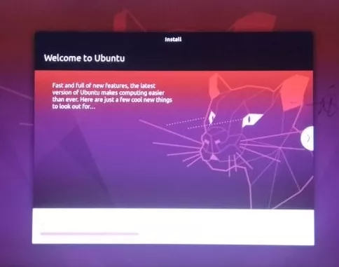 how to install ubuntu from usb cats