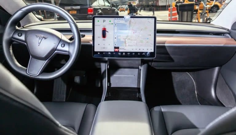 Tesla Robotaxi Autopilot