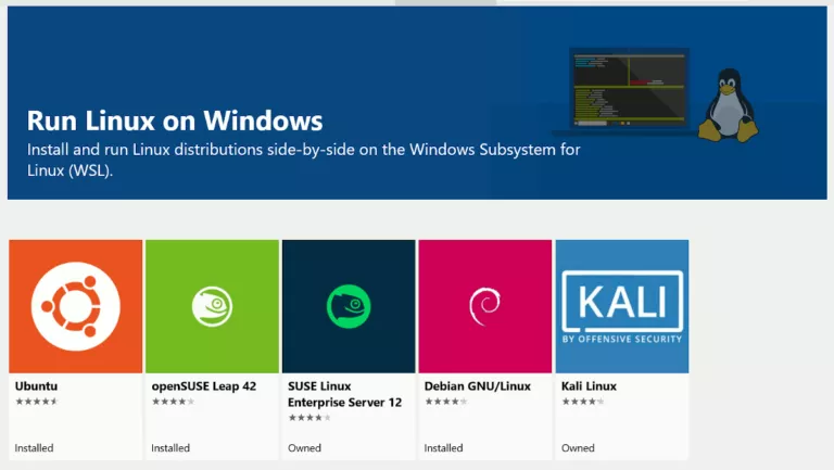 What is Windows Subsystem for Linux (WSL and WSL2)? — Linux in Windows