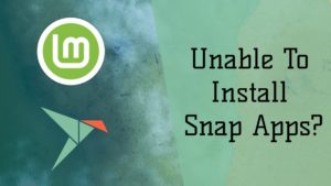 How To Enable Snap And Install Snap Packages On Linux Mint 20?