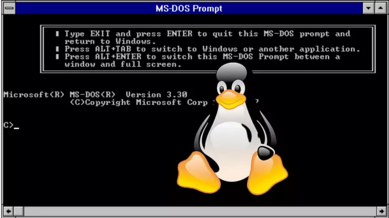 DOS subsystem for linux (DSL)