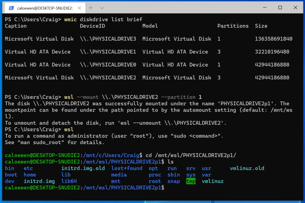 Mount Linux filesystem