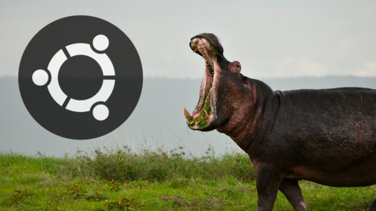 After Ubuntu 20.10 Release, Ubuntu 21.04 Is Codenamed "Hirsute Hippo"