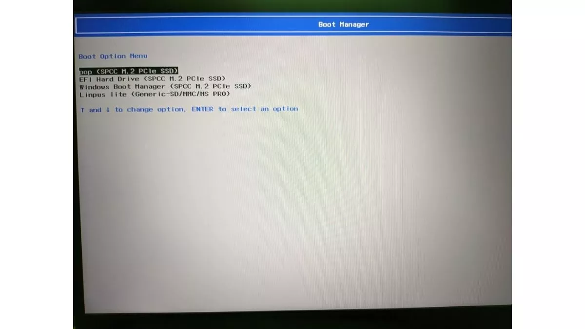 Boot manager - How to install Linux Mint