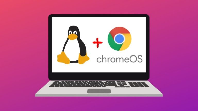 how to download unity on chromebook