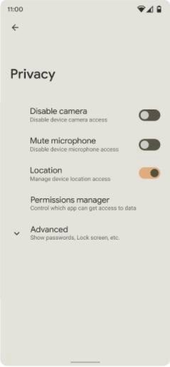 Android 12 privacy features