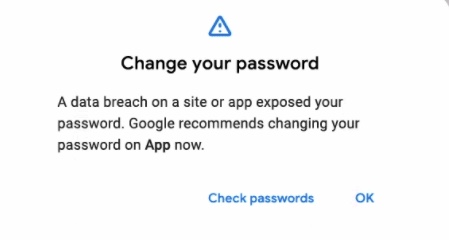 Password breach Google notification