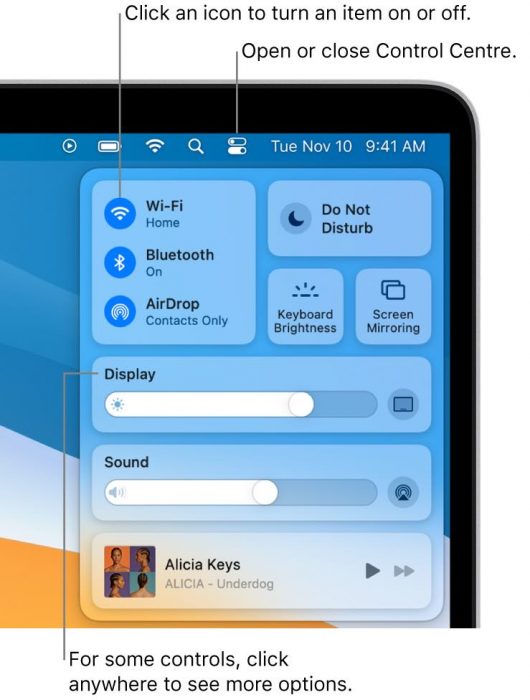 macOS Big Sur 11 Control Center