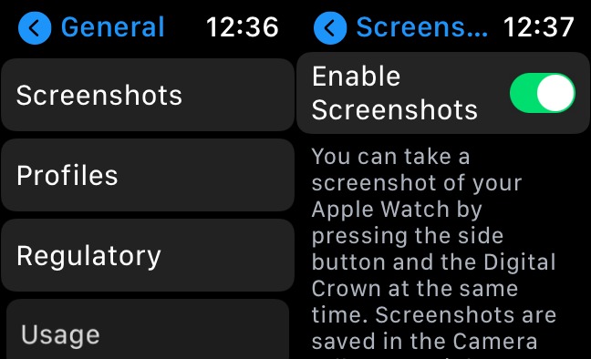 4 Enable screenshots on Apple Watch