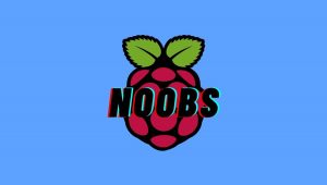 How To Install Raspberry Pi OS And Set Up Raspberry Pi Using NOOBS_