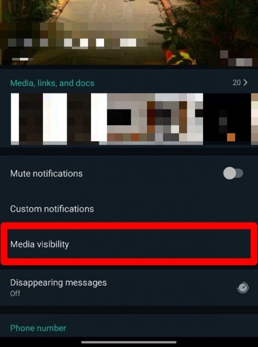 contact media visibility option