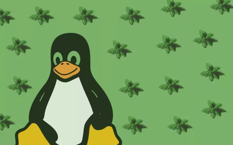 How to Dual-Boot Linux Mint 20.1 Alongside Windows 10?
