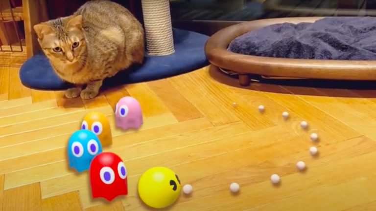 How To Use Google Search AR Stickers: See Pacman And Hello Kitty In 3D
