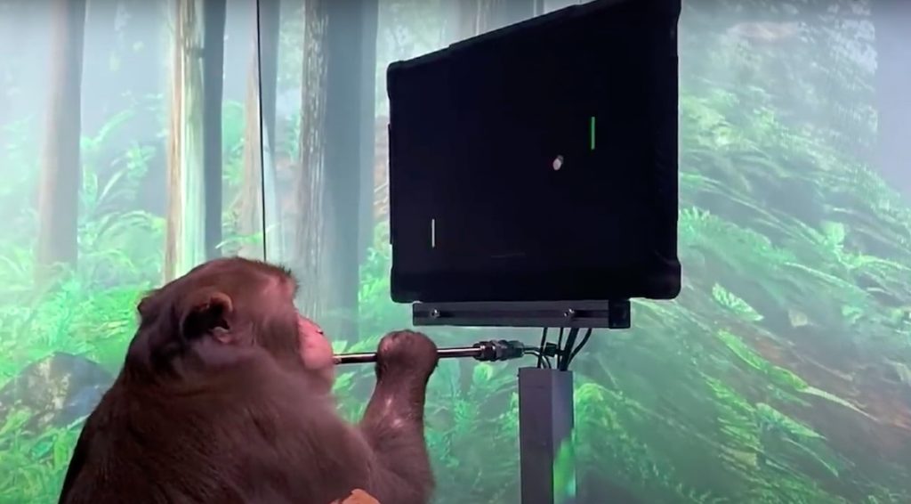 Neuralink Monkey MindPong demo