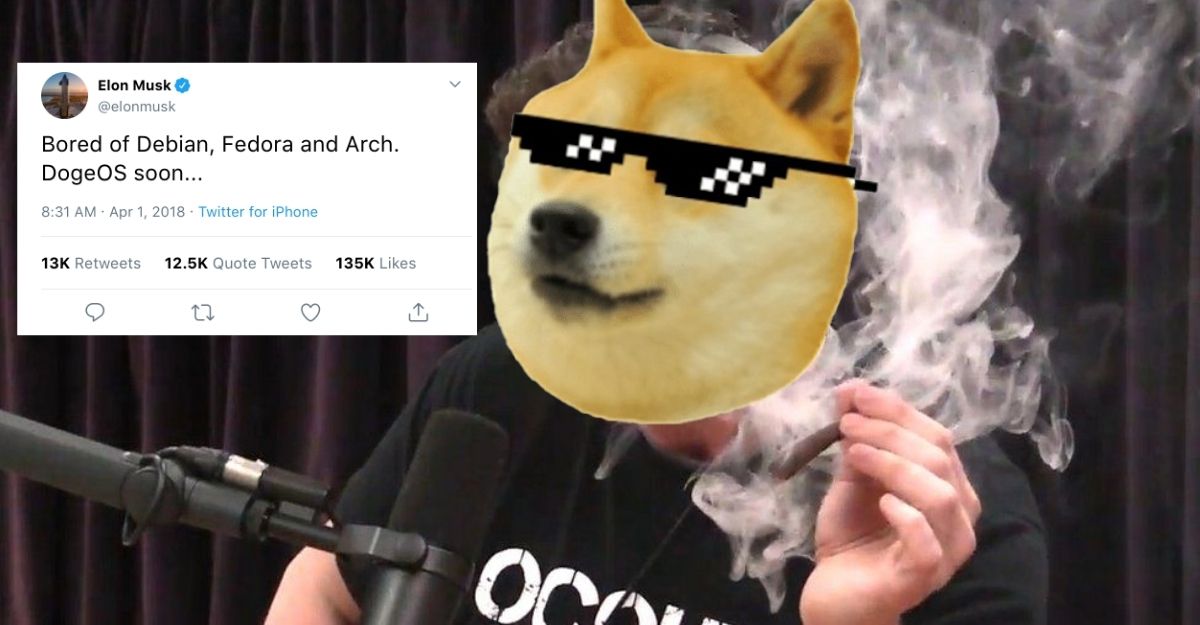 inspired-by-dogecoin-elon-musk-to-launch-dogeos-for-tesla-cars