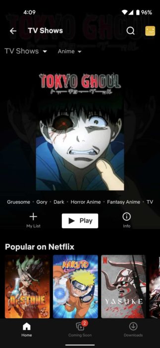 Netflix watch anime app