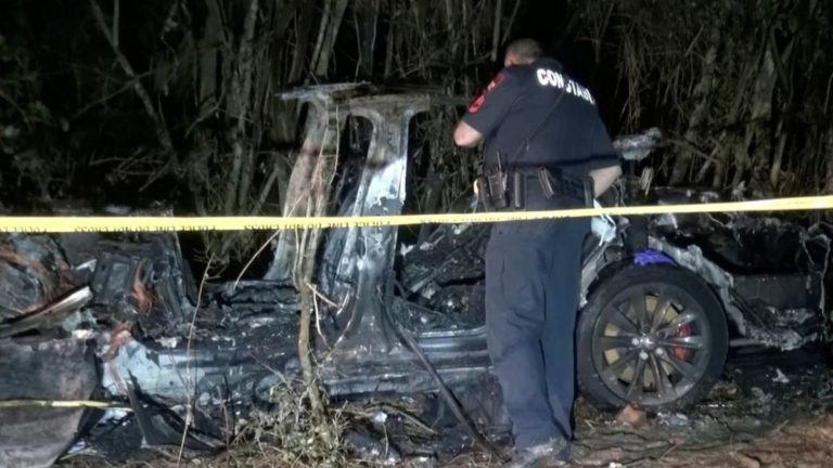 Tesla Model S fatal Crash