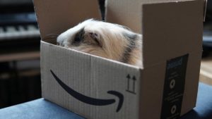 Get Amazon Prime Free Membership