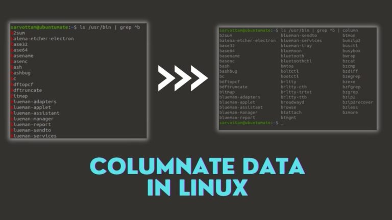How To Use Column Command In Linux With 10 Examples?