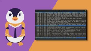 How To Use Command Line Newsboat RSS Feed Reader On Linux?